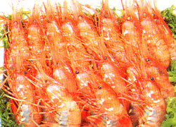 ڂ񂦂