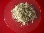 konago060622.JPG